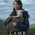 Lamb cartel reducido