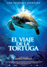 Cartel de El viaje de la tortuga