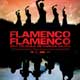 Flamenco Flamenco cartel reducido