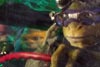 Ninja Turtles: Fuera de las sombras / 12