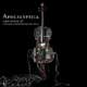 Apocalyptica: Amplified - A decade of reinventing the Cello - portada reducida