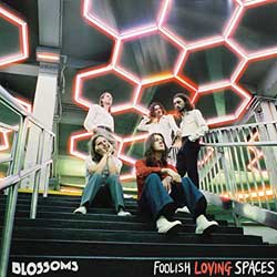 Blossoms: Foolish loving spaces - portada mediana