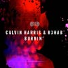 Calvin Harris: Burnin' - portada reducida