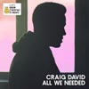 Craig David: All we needed - portada reducida