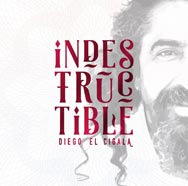 Diego El Cigala: Indestructible - portada mediana