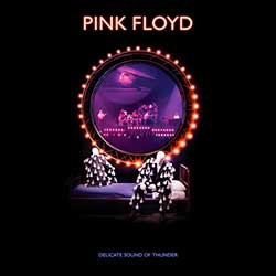 Pink Floyd: Delicate sound of thunder (2019 Remix) Live - portada mediana