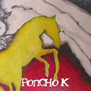 Poncho K: Caballo de oro - portada mediana
