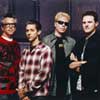 The Offspring / 5
