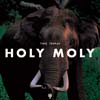Tinie Tempah: Holy Moly - portada reducida