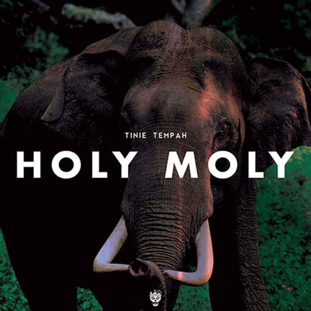Tinie Tempah: Holy Moly - portada