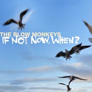 The Blow Monkeys: If not now, when? - portada mediana