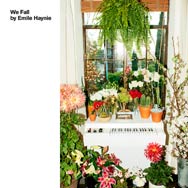 Emile Haynie: We fall - portada mediana