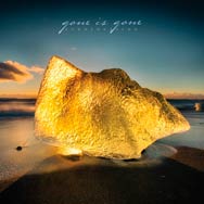 Gone is gone: Echolocation - portada mediana