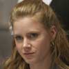Amy Adams The fighter