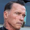 Arnold Schwarzenegger Sabotage