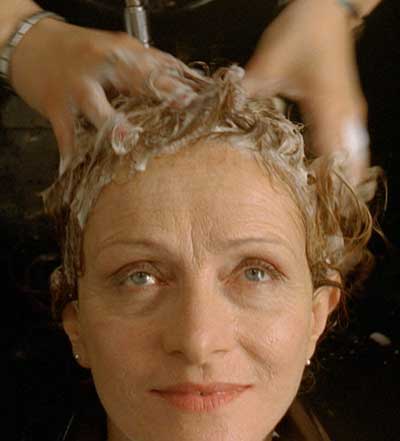 Beatriz Spelzini El gato desaparece