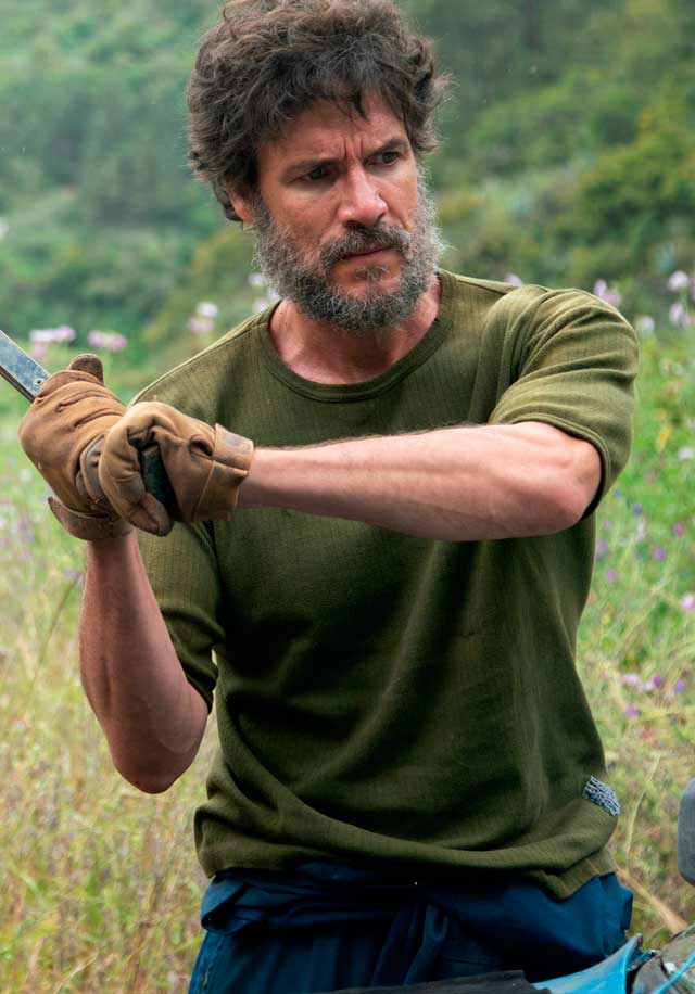 Daniel Grao La casa entre los cactus