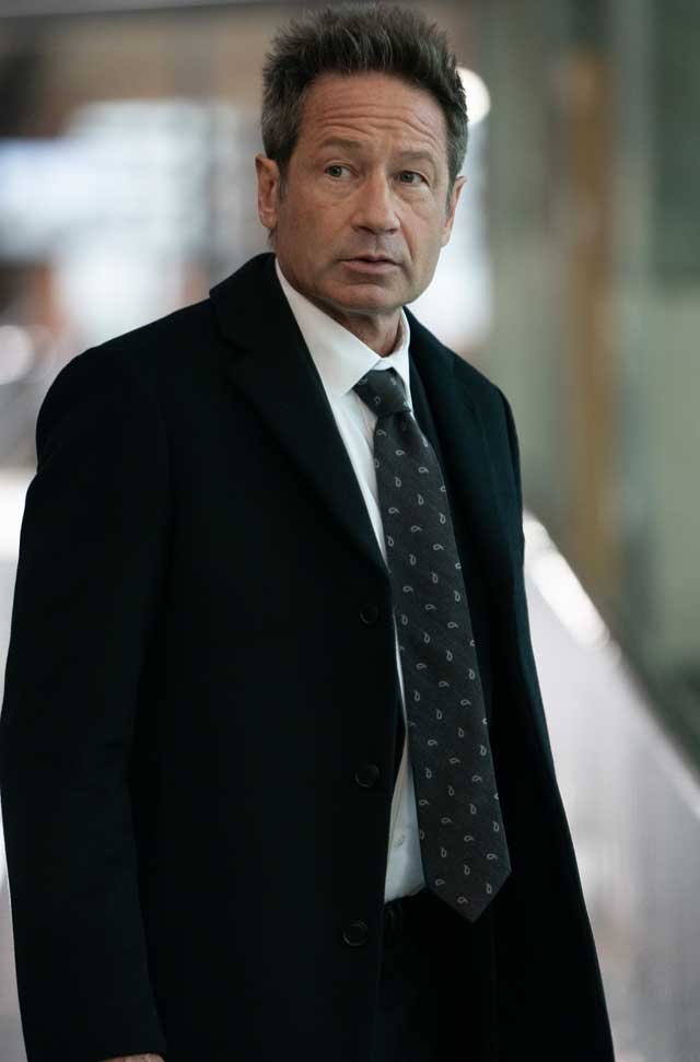 David Duchovny Lo que sucede después