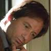 David Duchovny Cosas que perdimos en el fuego