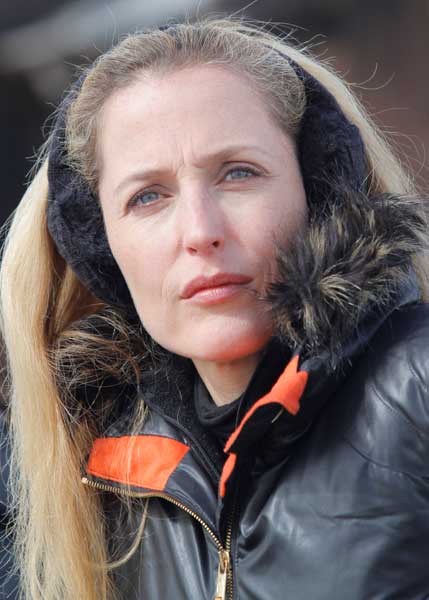 Gillian Anderson Sister