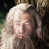 Ian McKellen El Hobbit: Un viaje inesperado