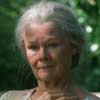Judi Dench La última primavera