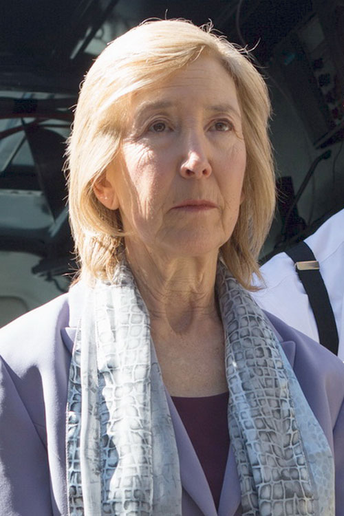Lin Shaye Insidious 2