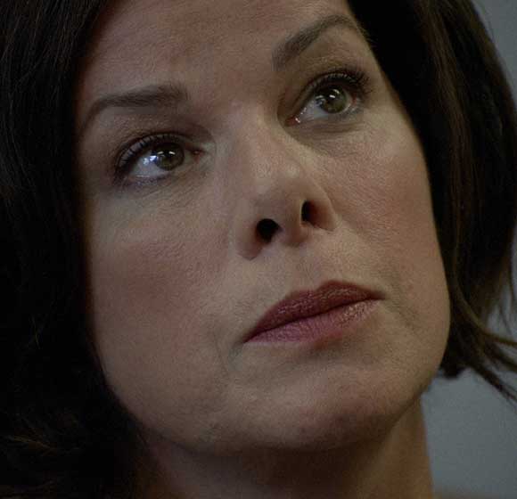 Marcia Gay Harden El profesor