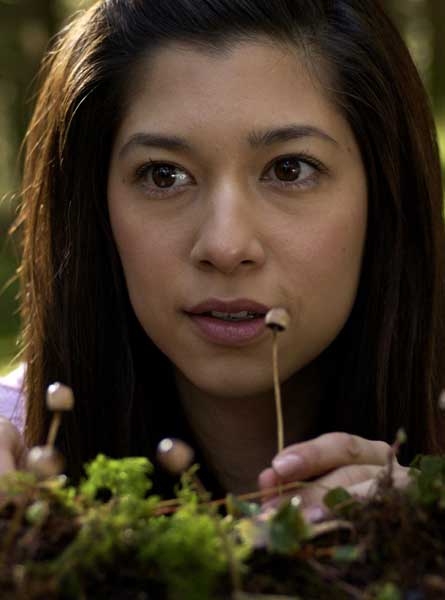 Maya Hazen Cabeza de muerte (Fungus Mortalitas)