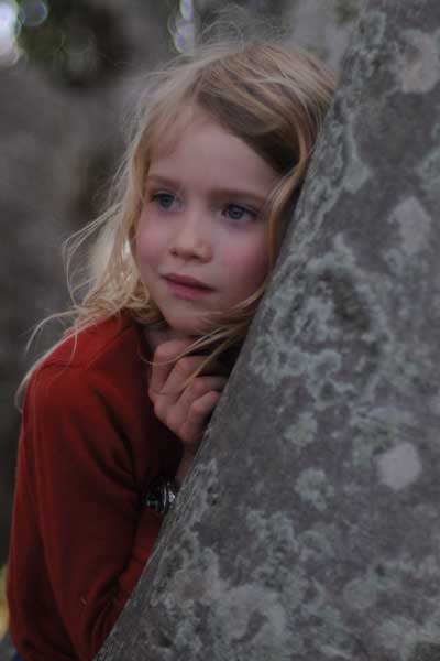 Morgana Davies El árbol