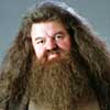 Robbie Coltrane Harry Potter y el prisionero de Azkaban