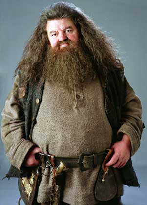 Robbie Coltrane Harry Potter y el prisionero de Azkaban