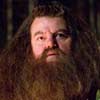 Robbie Coltrane Harry Potter y el Cáliz de Fuego