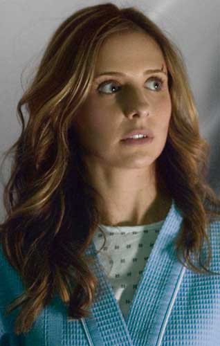 Sarah Michelle Gellar El grito 2