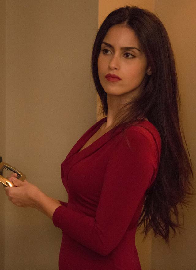 Shiva Negar American assassin