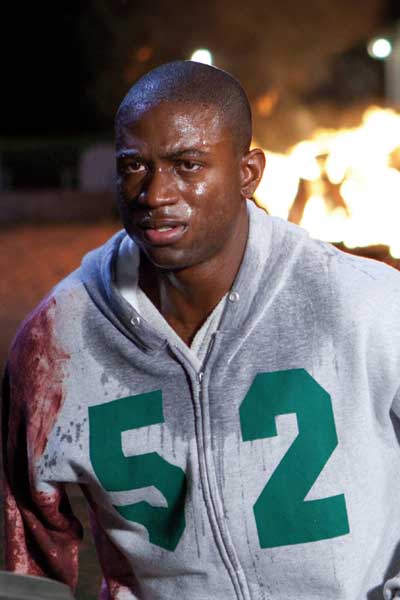 Sinqua Walls Tiburón 3D, la presa