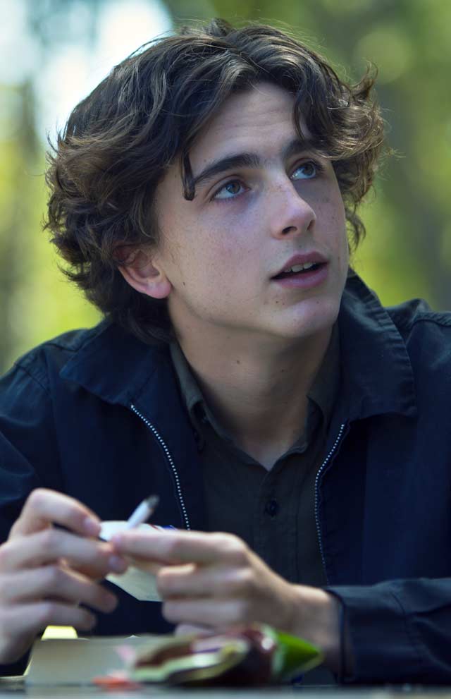 Timothée Chalamet Lady Bird