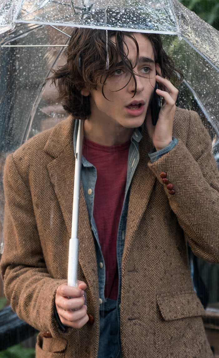 Timothée Chalamet Día de lluvia en Nueva York