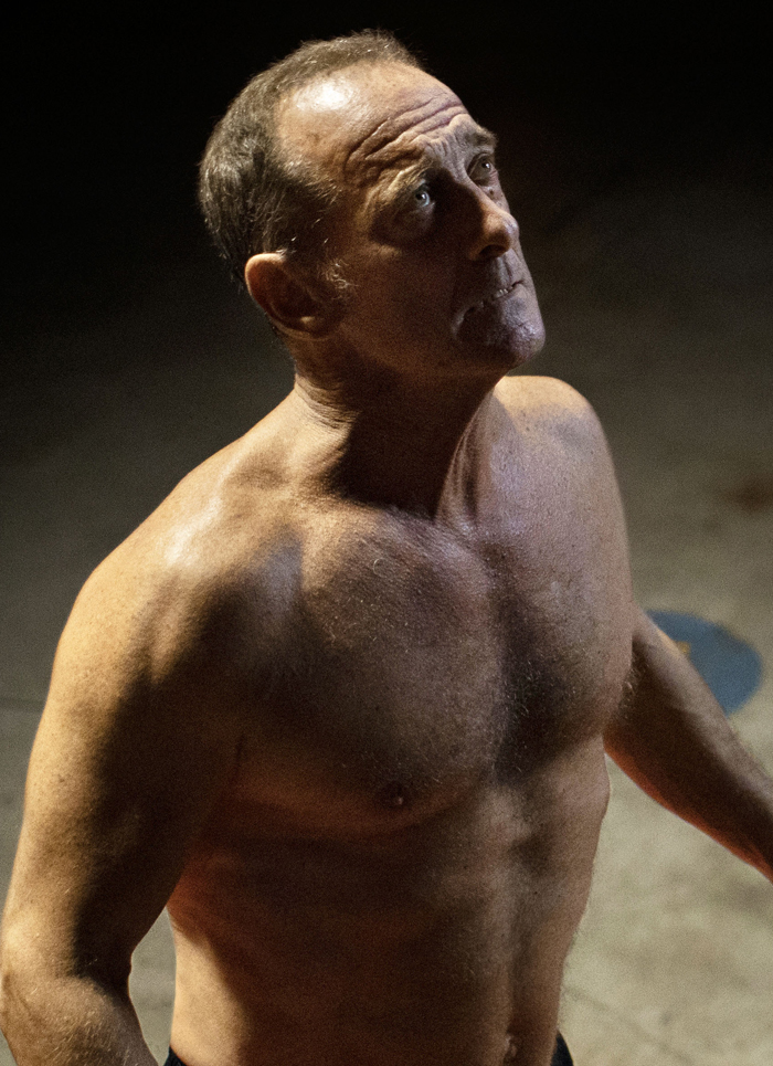 Vincent Lindon Titane