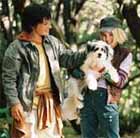 Un puente hacia Terabithia lidera la taquilla en España