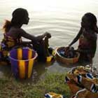 Palmares SEMINCI 2007