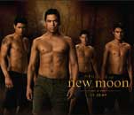 Primera foto oficial de Luna nueva