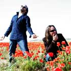 Made in Spain en el Festival de San Sebastian