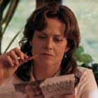 Nuevos nombres para Cedar Rapids