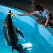 "La gran aventura de Winter" lidera el boxoffice USA