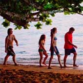 "Los descendientes" sigue con paso firme en la cartelera