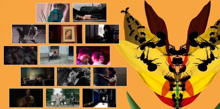 Premio Zabaltegi-Tabakalera del Festival de San Sebastián 2020