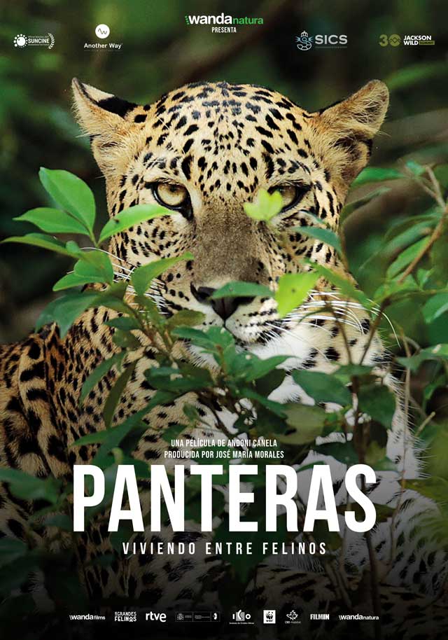 Panteras - cartel