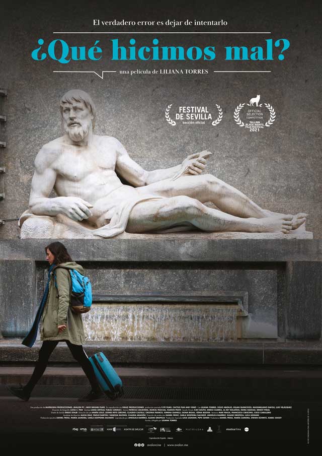 ¿Qué hicimos mal? - cartel