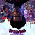 Spider-Man: Cruzando el multiverso cartel reducido
